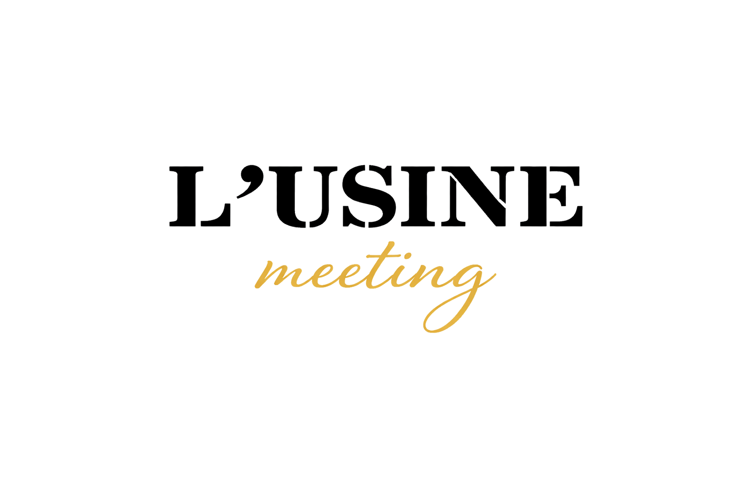 logo_transparent LUSINE